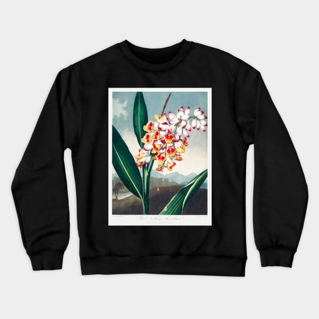 The Nodding Renealmia Crewneck Sweatshirt by Cleopsys